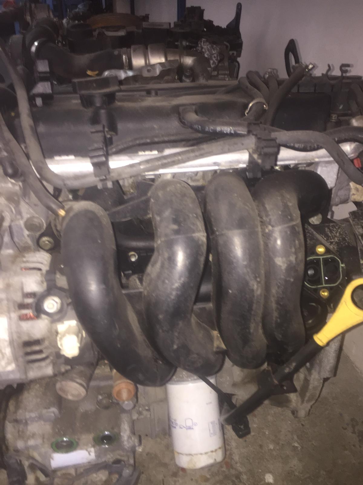 focus 1 manifold